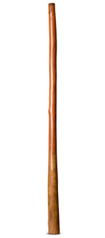 CrookedStixz Didgeridoo (AH396)